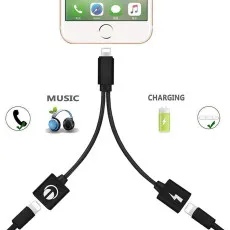 2in1 Dual Lightning Headphone Jack AUX Audio and Charge Adaptor For iPhone