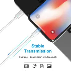 Image of Fast Charger USB Cable For Apple Iphone