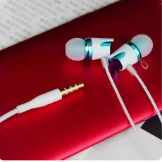 Earphones