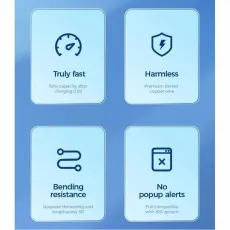 iPhone Charging Cable