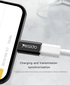 Type-C To iPhone Connector OTG Adapter Fast Charging Converter And Data Transfer For iPhone iPad