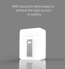 Wireless Earbuds