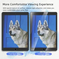 iPad 5678 Film screen protector extra look