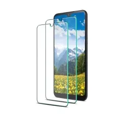 A phone with a nature wallpaper featuring mountains and flowers, with two clear screen protectors positioned in front.