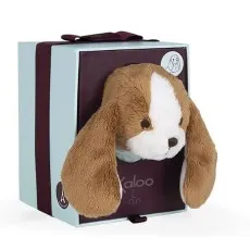A plush brown and white puppy's head with long floppy ears is peeking out of a gift box
