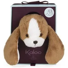 A soft brown and white puppy's head with long floppy ears is shown peeking out of a gift box