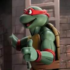 Action figure of Raphael showing his cartoon face, torso, and right arm in a cheerful thumbs-up pose.