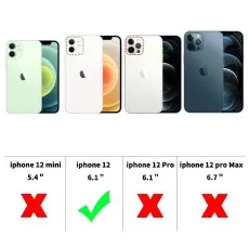 Compatibility chart showing the case only fits the 6.1-inch iPhone 12 model.