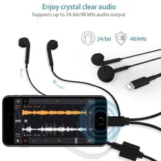 iPhone headphone jack